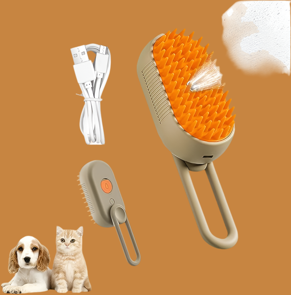 Cepillo de Vapor Con Mango 3 En 1 Recargable